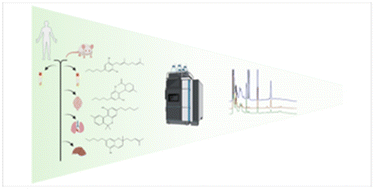Graphical abstract: Development and validation of an HPLC-DAD method for the quantification of cannabigerol, cannabidiol, cannabinol and cannabichromene in human plasma and mouse matrices