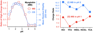 Graphical abstract: Effects of anions on the electrospray ionization of proteins in strong acids