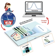 Graphical abstract: Screen printed 3D microfluidic paper-based and modifier-free electroanalytical device for clozapine sensing