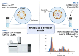 Graphical abstract: Development of essential oil diffusion matrices using non-ionic surfactants-supported NADES and hydrophobic NADES