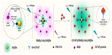 Graphical abstract: Quantum dot-to-dye-based fluorescent ratiometric immunoassay for GFAP: a biomarker for ischaemic stroke and glioblastoma multiforme