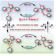 Graphical abstract: Neutral and ionic N-methyl phenylazo-3,5-(di-2-pyridyl)pyrazole photoswitches: probes for reversible pH modulation by light