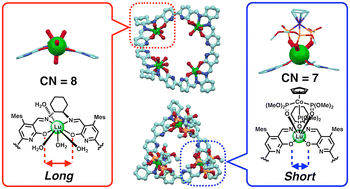 Graphical abstract: Synthesis of macrocyclic salen rare-earth complexes and their framework conversion regulated by coordination sphere engineering