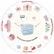 Graphical abstract: External stimuli-driven catalytic hydrogels for biomedical applications