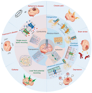 Graphical abstract: Implantable hydrogels as pioneering materials for next-generation brain–computer interfaces