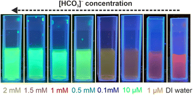 Graphical abstract: Inorganic–organic hybrid nanoparticles with carbonate-triggered emission-colour-shift