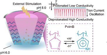 Graphical abstract: Ion current oscillation of polyelectrolyte modified micropipettes
