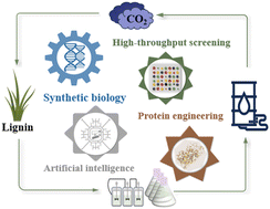Graphical abstract: Technological advances in ligninolytic enzymes for the biological valorization of lignin