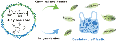 Graphical abstract: Sustainable bioplastics build on d-xylose cores: from backup to the center stage
