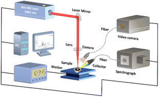 Graphical abstract: High-precision coal classification using laser-induced breakdown spectroscopy (LIBS) coupled with the CST-PCA-based ISSA-KELM