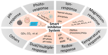 Graphical abstract: Smart inhibitor systems towards anti-corrosion: design and applications
