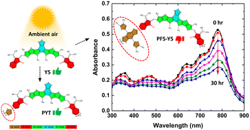 Graphical abstract: Effect of molecular structure on the photochemical stability of acceptor and donor polymers used in organic solar cells