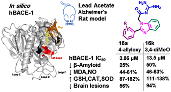 Graphical abstract: Development, biological evaluation, and molecular modelling of novel isocytosine and guanidine derivatives as BACE1 inhibitors using a fragment growing strategy