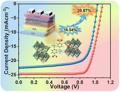 Graphical abstract: Minimizing defect states through multidentate coordination and morphology regulation for enhancing the performance of inverted perovskite solar cells