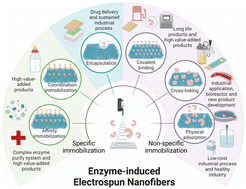 Graphical abstract: Advanced applications in enzyme-induced electrospun nanofibers