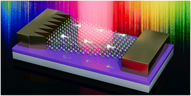 Graphical abstract: New paradigms of 2D layered material self-driven photodetectors