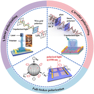 Graphical abstract: Modulation anisotropy of nanomaterials toward monolithic integrated polarization-sensitive photodetectors