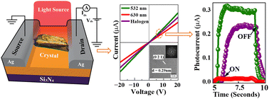 Graphical abstract: Investigating the visible range photoresponse of an organic single-crystal analogue of the green fluorescent protein