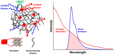 Graphical abstract: FRET-driven hybrid polymer–perovskite matrices for efficient pure-red emission