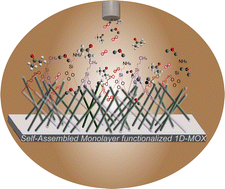Graphical abstract: Self-assembled monolayer functionalized metal oxides: a path toward highly selective and low-power consuming gas sensors