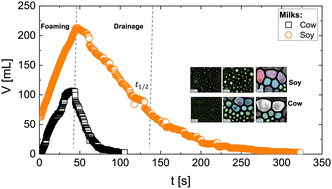 Graphical abstract: The bubbly life and death of animal and plant milk foams