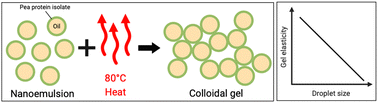 Graphical abstract: Thermogelation of nanoemulsions stabilized by a commercial pea protein isolate: high-pressure homogenization defines gel strength