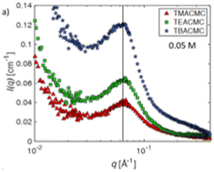 Graphical abstract: Influence of counterion type on the scattering of a semiflexible polyelectrolyte