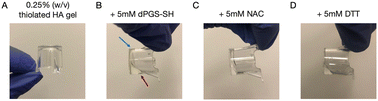 Graphical abstract: Magnetic microwire rheometer reveals differences in hydrogel degradation via disulfide reducing agents