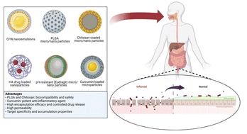 Graphical abstract: Advanced polymeric systems for colon drug delivery: from experimental models to market applications