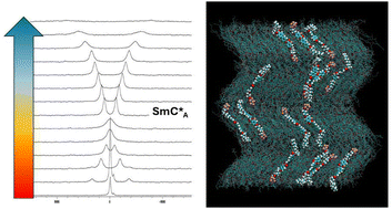 Graphical abstract: Chemical and physical properties of orthoconic liquid crystals: 2H NMR spectroscopy and molecular dynamics simulations