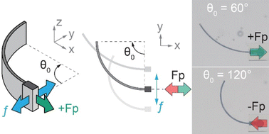 Graphical abstract: Curvature-dependent propulsion of elastic flagella