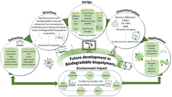 Graphical abstract: Biodegradable biopolymers for electrochemical energy storage devices in a circular economy
