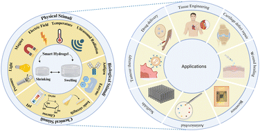 Graphical abstract: Next-generation biopolymer gels: innovations in drug delivery and theranostics