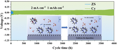 Graphical abstract: Regulating the solvation structure and adsorption behavior in zinc anodes using polar organic molecules to achieve durable dendrite-free zinc metal anodes for aqueous zinc-ion batteries
