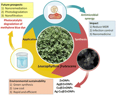 Graphical abstract: Green synthesis of silver and copper-doped zinc oxide nanoflowers using Leucophyllum frutescens leaf extract for photodegradation of methylene blue dye and antibacterial applications