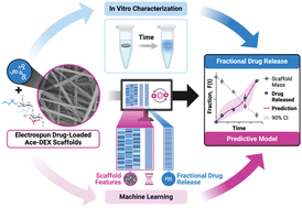 Graphical abstract: Supervised machine learning for predicting drug release from acetalated dextran nanofibers