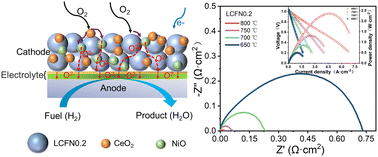 Graphical abstract: Ce3+-induced in situ reconstruction of LaFe0.7Ni0.3O3−δ into a three-phase nanocomposite cathode for IT-SOFCs