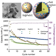 Graphical abstract: Engineering iron sulfide/carbon co-coated silicon nanoparticles as a lithium-ion battery anode displaying stable capacity and rate-performance