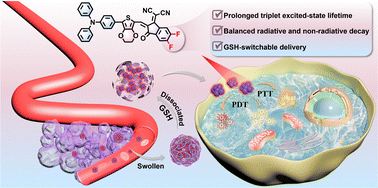 Graphical abstract: Construction of balanced-transition AIE phototherapeutic agents based on a fluorination strategy for prolonged triplet excited state lifetime