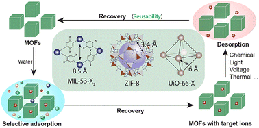 Graphical abstract: Metal–organic framework adsorbents for selective divalent cation removal/recovery from water