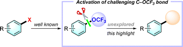 Graphical abstract: Strategic advances in C–OCF3 bond transformations