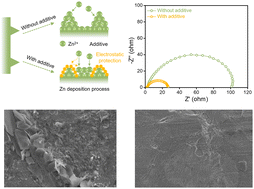 Graphical abstract: A facile and eco-efficient additive strategy enables high-performance aqueous zinc-ion batteries