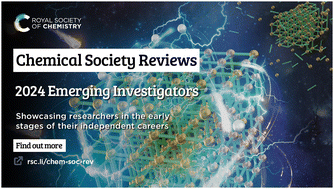 Graphical abstract: Contributors to the 2024 Emerging Investigators collection