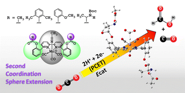 Graphical abstract: The impact of second coordination sphere functional group extension on product selectivity for manganese bipyridyl CO2 reduction electrocatalysts