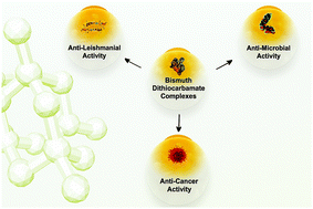 Graphical abstract: Bismuth dithiocarbamate complexes as anticancer agents and beyond: a comprehensive review