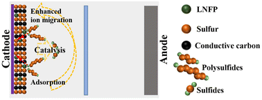 Graphical abstract: Li0.95Na0.05FePO4 as a trifunctional additive to boost the electrochemical performance of cathodes in lithium–sulfur batteries