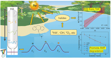 Graphical abstract: Fractionation of humic acid and its effects on the photodegradation of amitriptyline in water