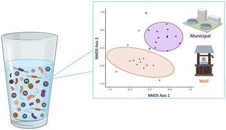 Graphical abstract: Well exposed: exploring the chemical and microbial composition in well and municipal drinking waters in Iowa
