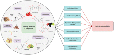 Graphical abstract: New insights into anti-thrombotic effects of dietary bioactive components