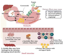 Graphical abstract: Negative impact of soluble, gel-forming dietary fibres on the bioaccessibility of β-carotene, lutein, and lycopene